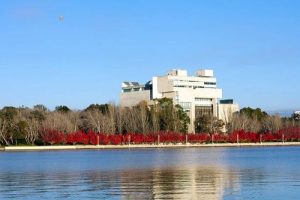 High Court Strengthens Legal Path for Victims of Institutional Abuse High Court Strengthens Legal Path for Victims of Institutional Abuse
